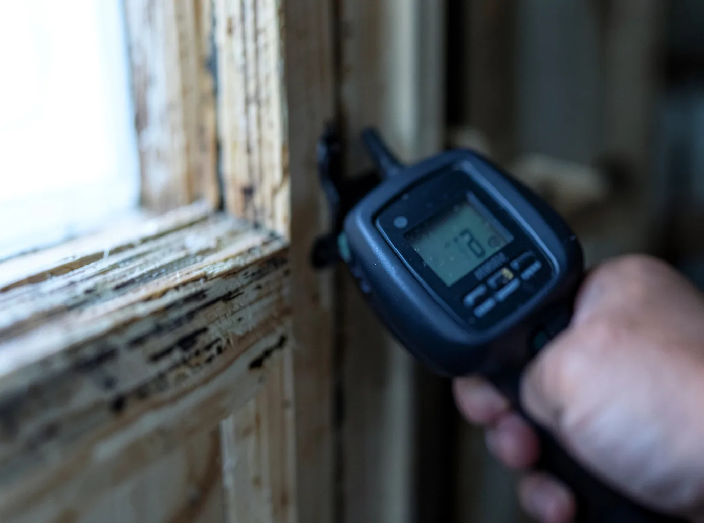 Moisture Inspection And Documentation in Jersey Shore, PA